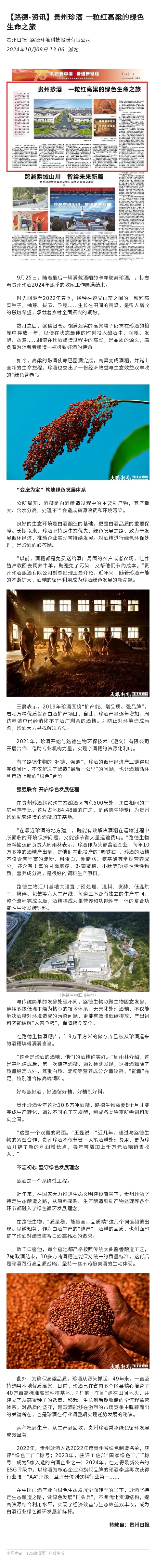 貴州珍酒 一粒紅高粱的綠色生命之旅.jpg